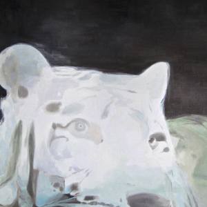 Collection Gifts For Animal Lovers