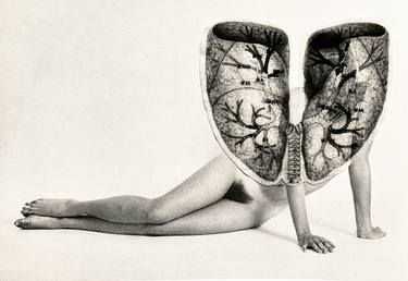 Original Figurative Nude Collage by Abel Ortiz