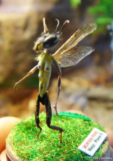 Wasp Pixie: thumb