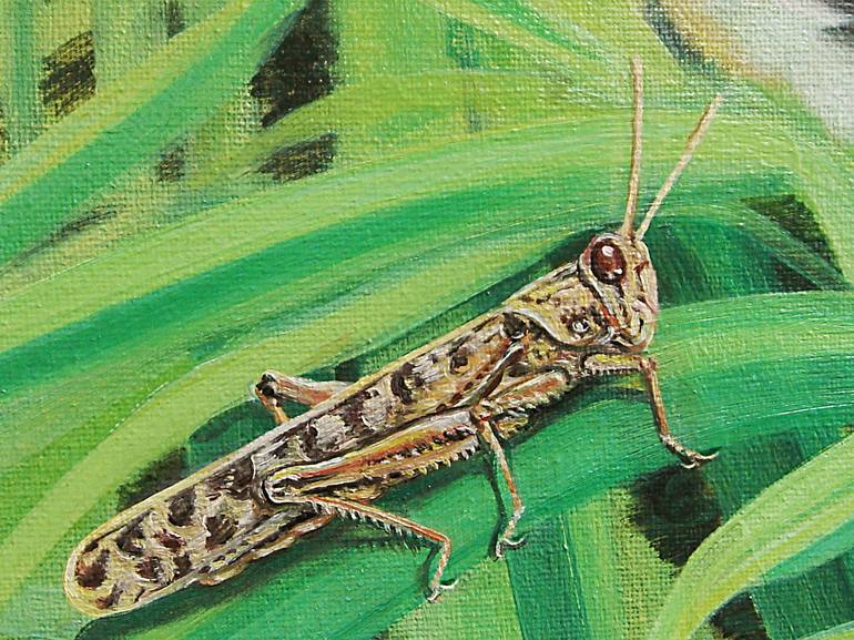 Grasshopper Detail: Painting by Ged Casserley | Saatchi Art