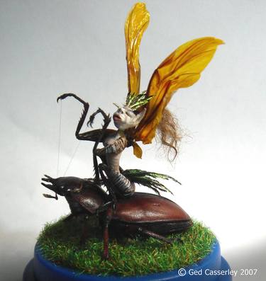Faerie Queen Riding a Beetle thumb