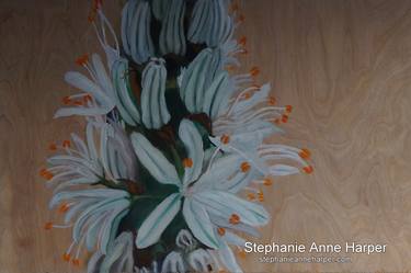 Print of Realism Floral Paintings by Stephanie Harper