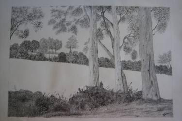 Original Landscape Drawings by Jung Nowak