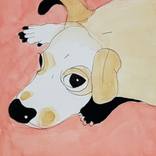 Dog 1 by Jung Nowak