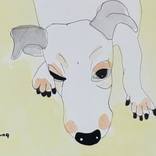 Dog 2 by Jung Nowak
