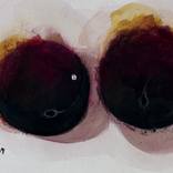 Plums 2 by Jung Nowak