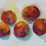 Plums 5 by Jung Nowak