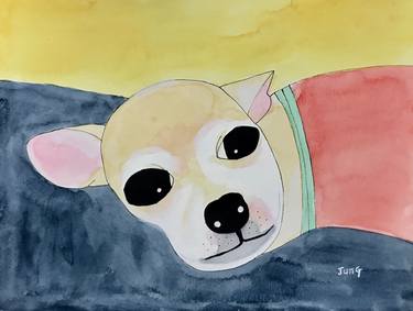 Original Fine Art Dogs Paintings by Jung Nowak