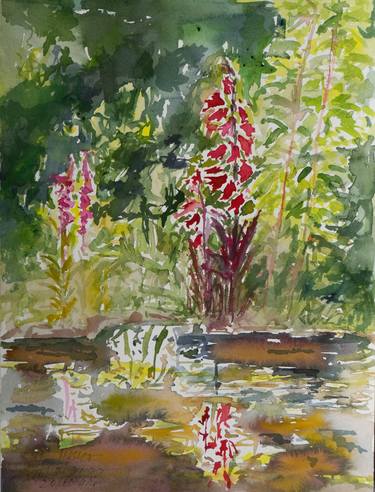 Cardinal flowers at the pond thumb