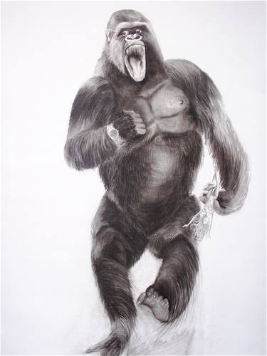 Original Animal Drawings by Dominique Carrié