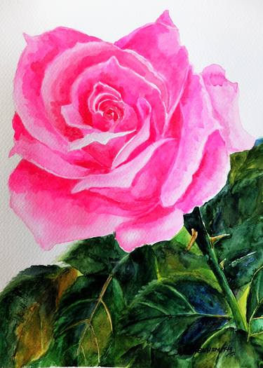 Print of Realism Floral Paintings by Rhona Beh Smith