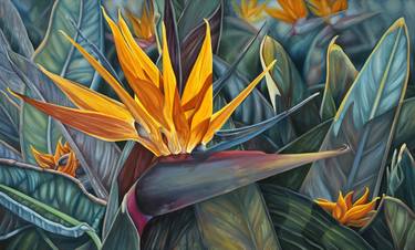 Original Floral Paintings by Judith Moore