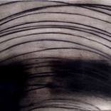 wall of tears 2 by mira cedar