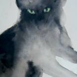 the cat by mira cedar