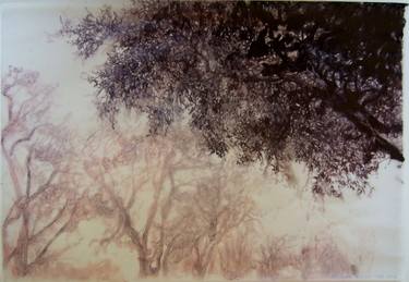 Print of Expressionism Nature Drawings by mira cedar