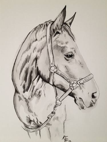 Print of Realism Animal Drawings by Katherine Edden