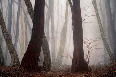 Original Abstract Expressionism Nature Digital by Nenad Stojanovic