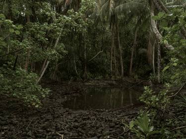 American bomb crater  in jungle, Wotje Island,  Wotje Atoll, Marshall Islands - Limited Edition of 4 thumb