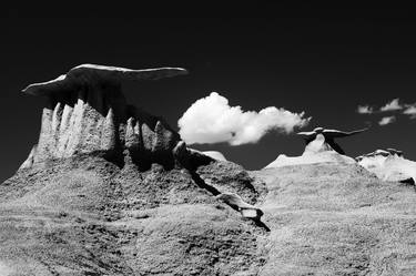 Wings, Bisti/De-Na-Zin Wilderness, NM  (2012) thumb