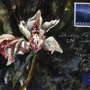 From Mexico to Malaysia
