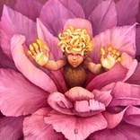 Hide and Seek by Suzana Dzelatovic