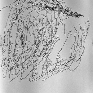 Collection Blind Drawing