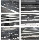 Collection 100 Curators Collection