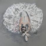 Tulle Enchantment: A Ballerina's Reverie by Zoe James-Williams