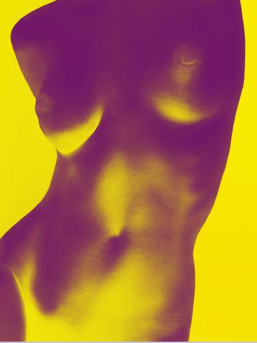 Original Abstract Nude Photography by Irv Suss