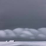 Collection Winter Wonderlands