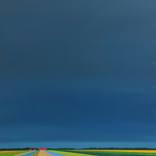 Colorful Fields (2) by Nelly van Nieuwenhuijzen