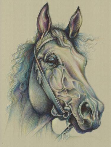 Print of Illustration Horse Mixed Media by Tony David Roberts