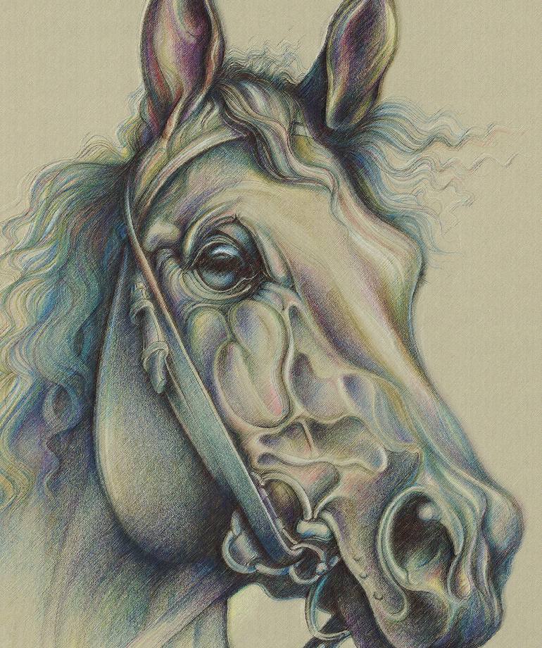 Original Illustration Horse Mixed Media by Tony David Roberts