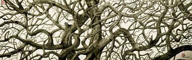 Tree Labyrinth - Diptych thumb