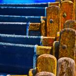 Collection NPQ's Winter 2012 Edition