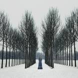 Collection Verticalities