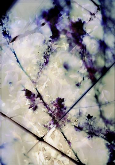 Original Abstract Photography by Frank Uhlig