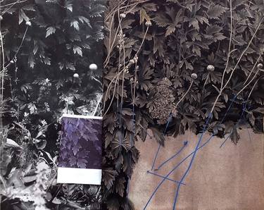 Original Botanic Collage by Alain Gavin