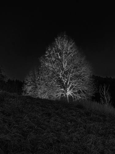 Print of Art Deco Landscape Photography by Erik Bont