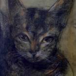 Bengal Cat by Isao Tomoda