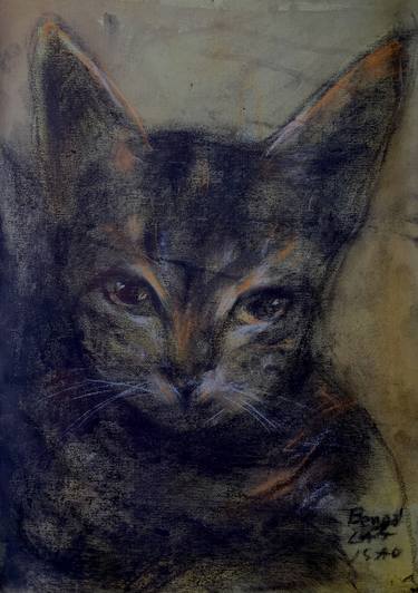 Print of Fine Art Animal Paintings by Isao Tomoda