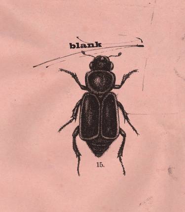 blank 15, edition of 10, print 1 thumb