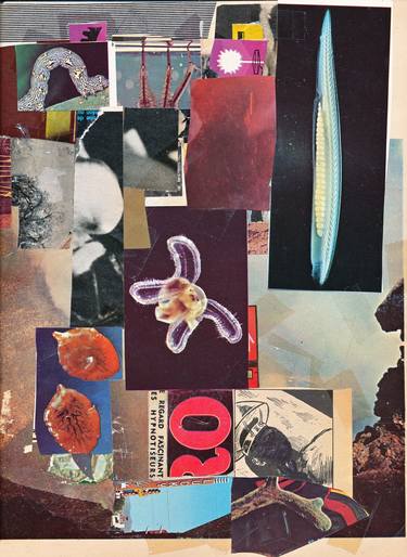 Original Abstract World Culture Collage by Micosch Holland