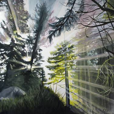 Original Realism Nature Paintings by Cedar Lee