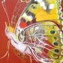 Collection Butterfly paintings