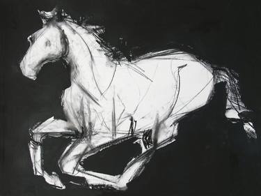 Print of Horse Drawings by Heidi Lanino