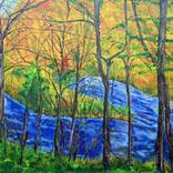 Stream in the mountains by Gregor Pratneker
