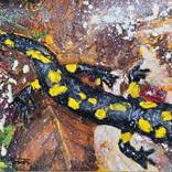 Salamander Nr. 4 by Gregor Pratneker