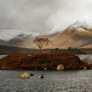Lone Tree and Dusting of Snow in Mountains of Scotland