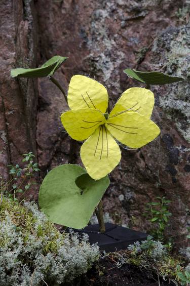 Original Figurative Botanic Photography by Birgitta Steger